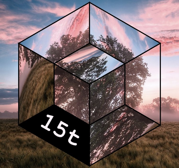 Fifteent Cover Image